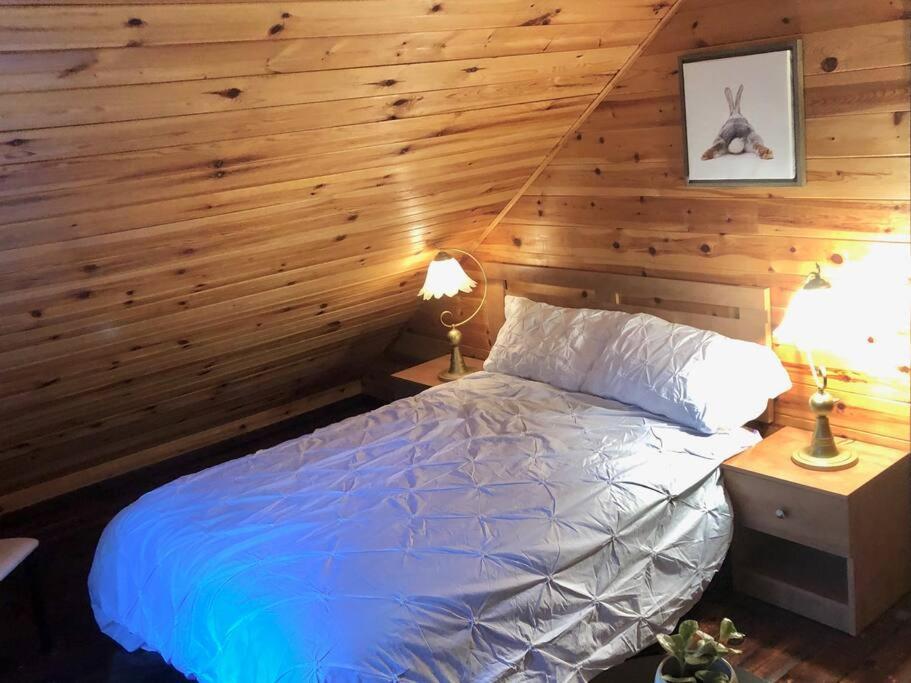 Chalet Riviere - Bord De Riviere - Romantique Saint-Alexis-des-Monts Zewnętrze zdjęcie